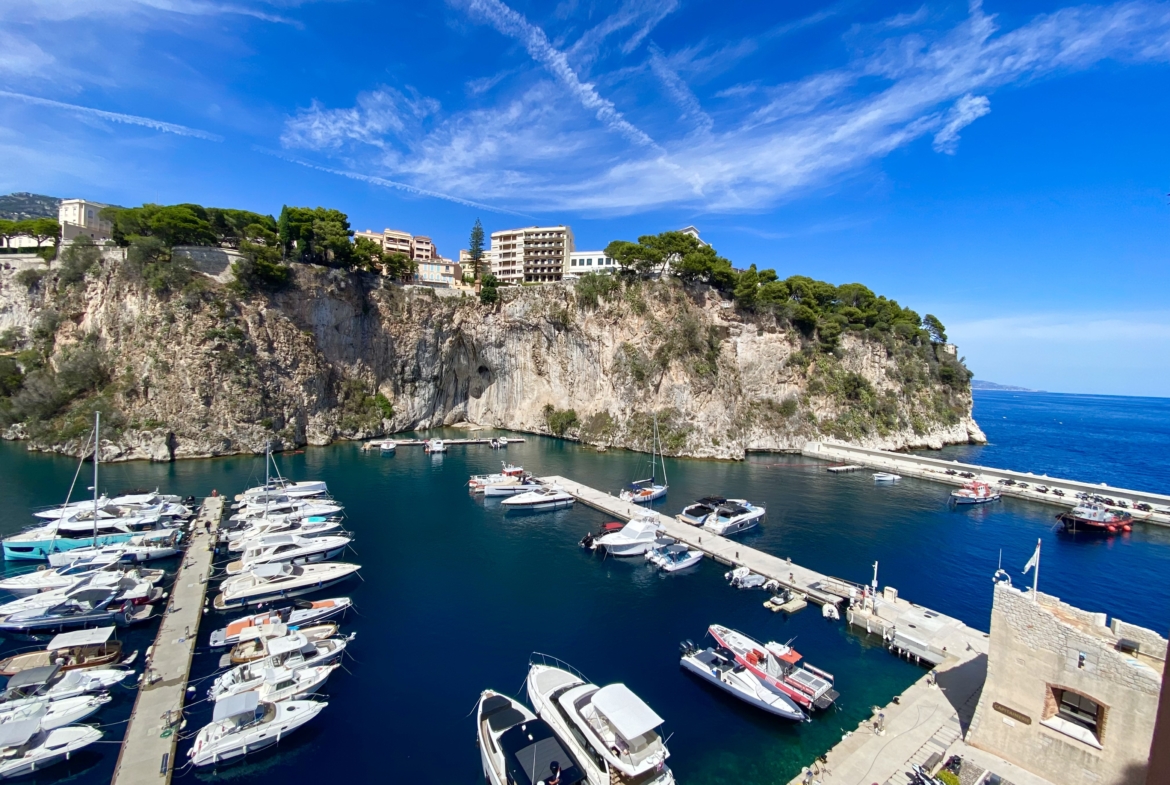 real estate monaco