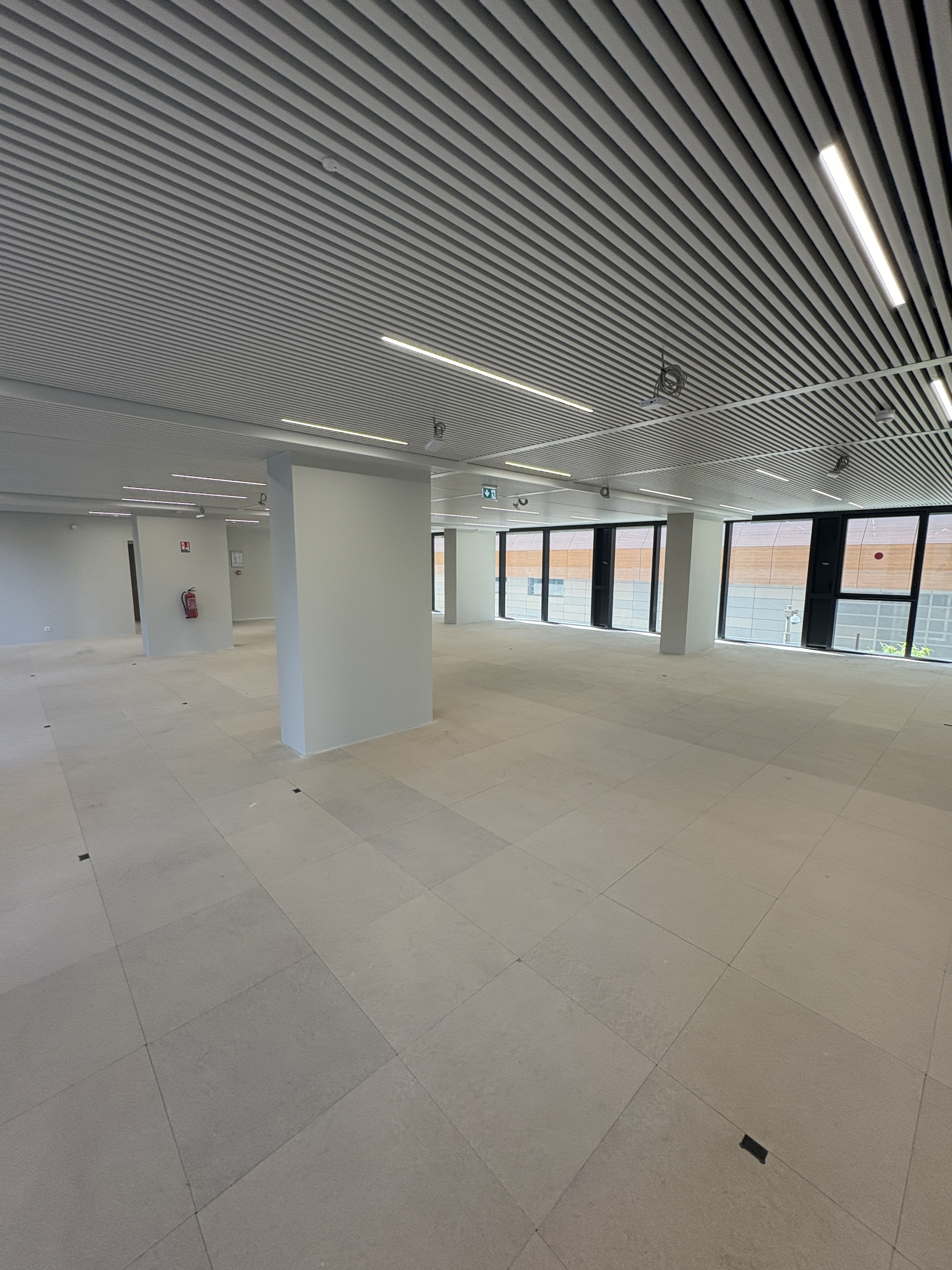 Office Space for Rent in Fontvieille