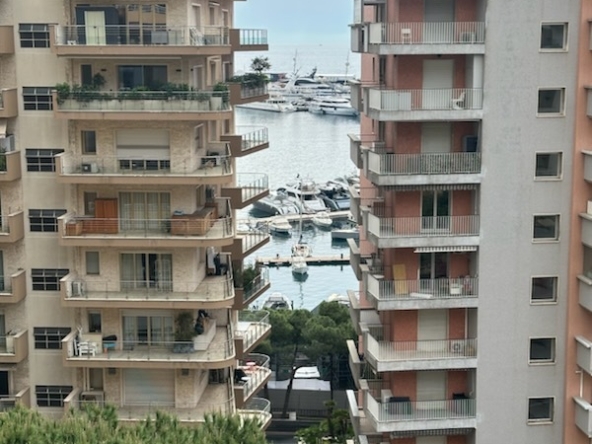 img 46171 1747230393