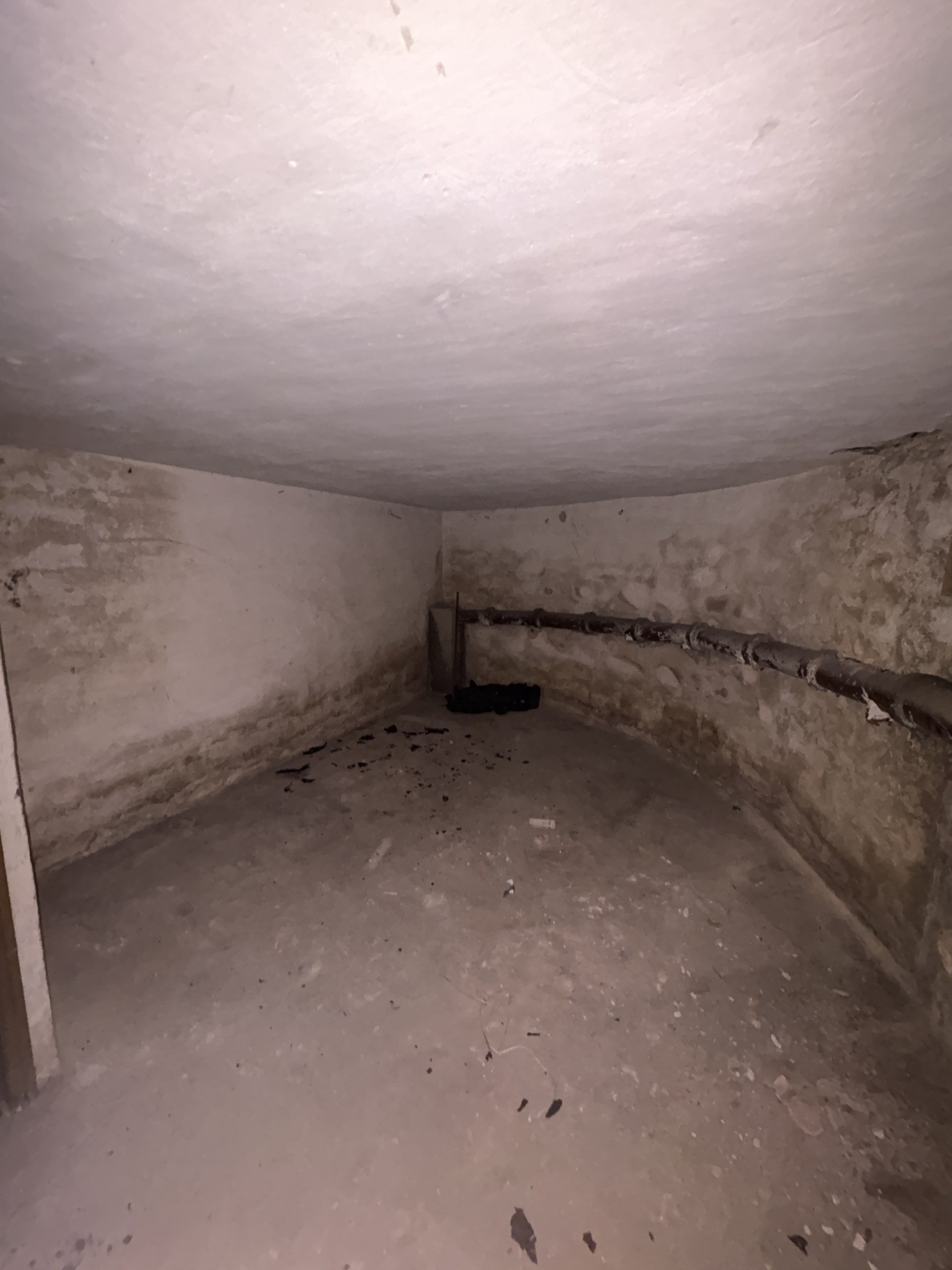Spacious cellar available for rent