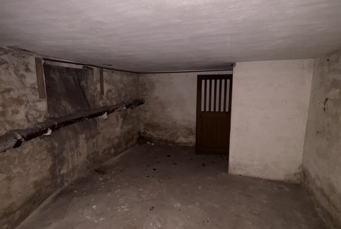 Spacious cellar available for rent