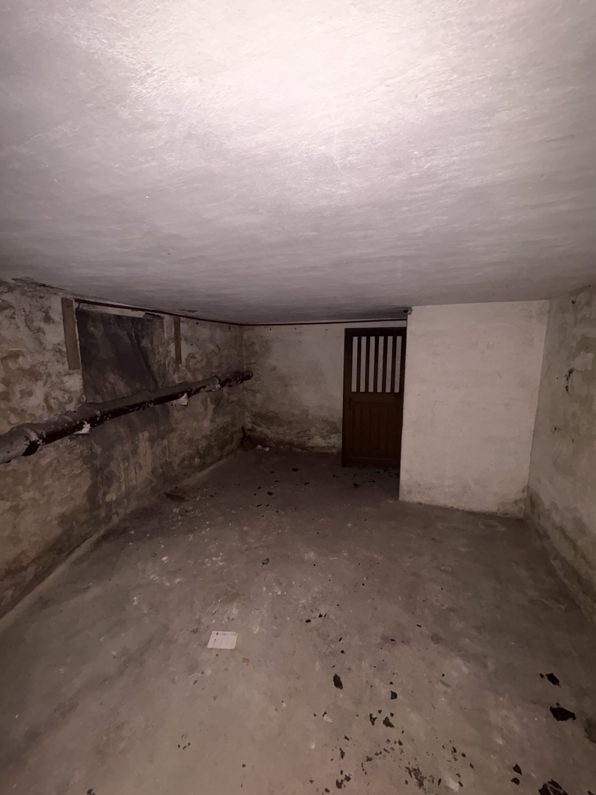 Spacious cellar available for rent