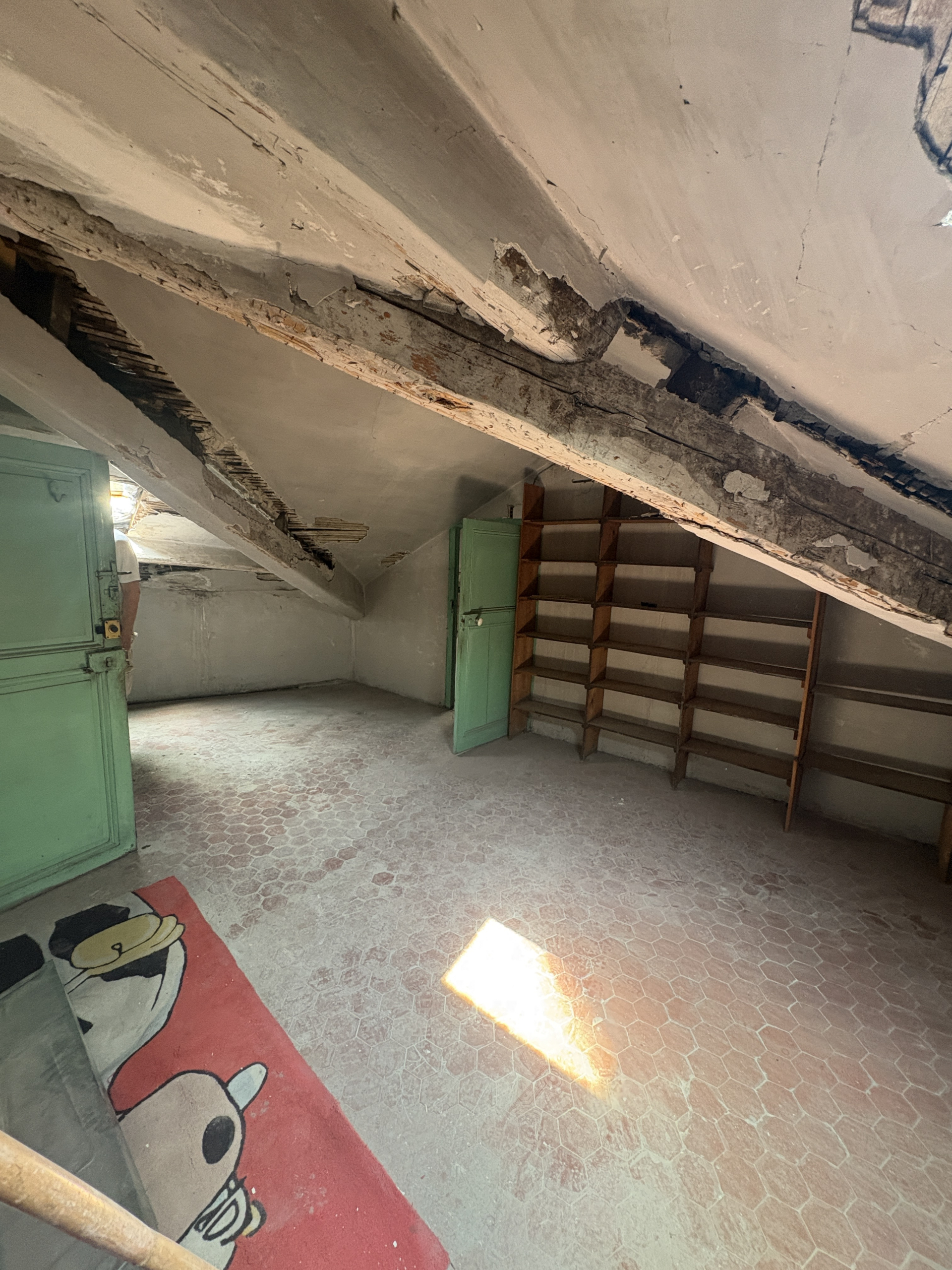 img-5241-1783522570-1 Attic apartment in need of renovation with great potential in the heart of La Condamine