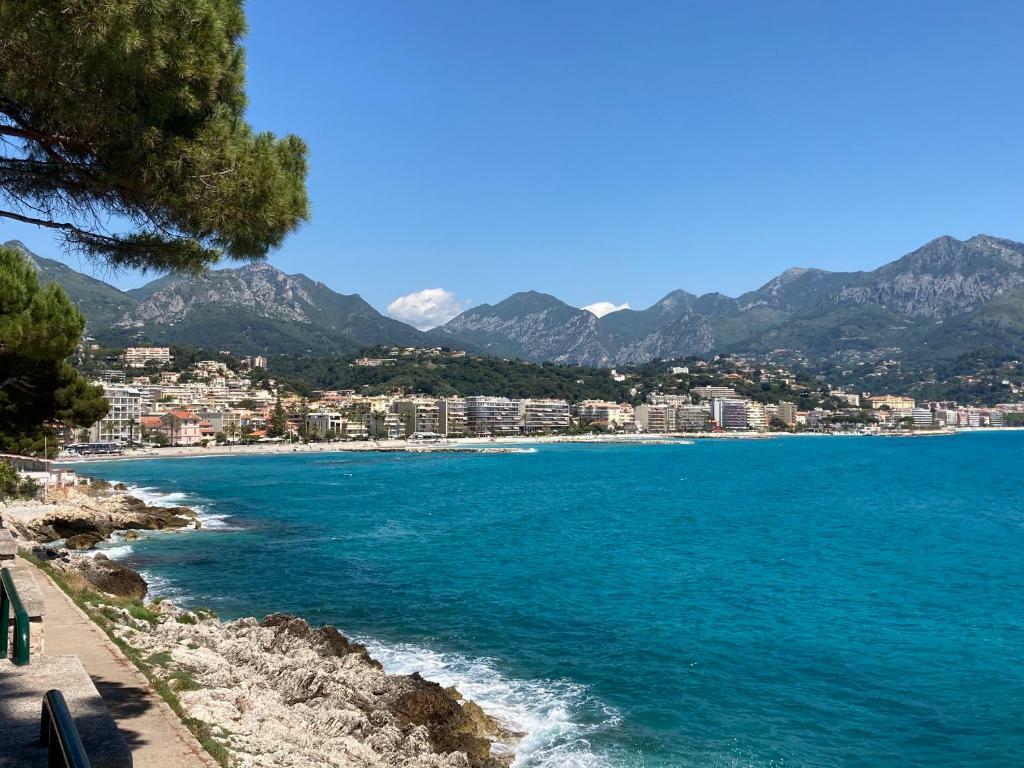 ROQUEBRUNE CAP MARTIN FOR SALE 3 P SEA FRONT