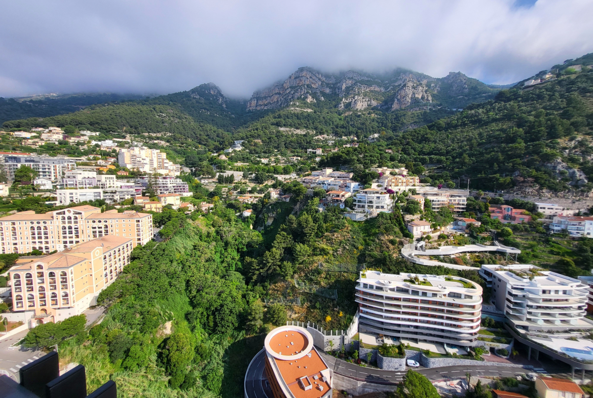 Magnificent Duplex for sale in Parc Saint Roman