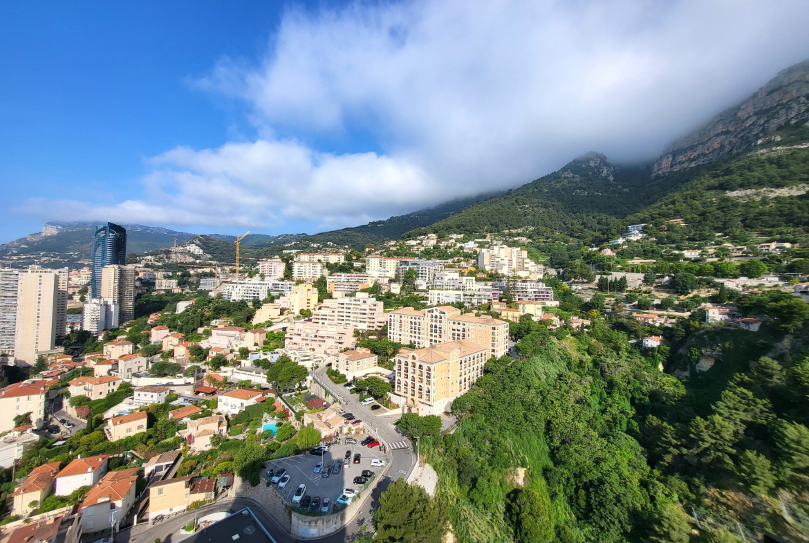 Magnificent Duplex for sale in Parc Saint Roman