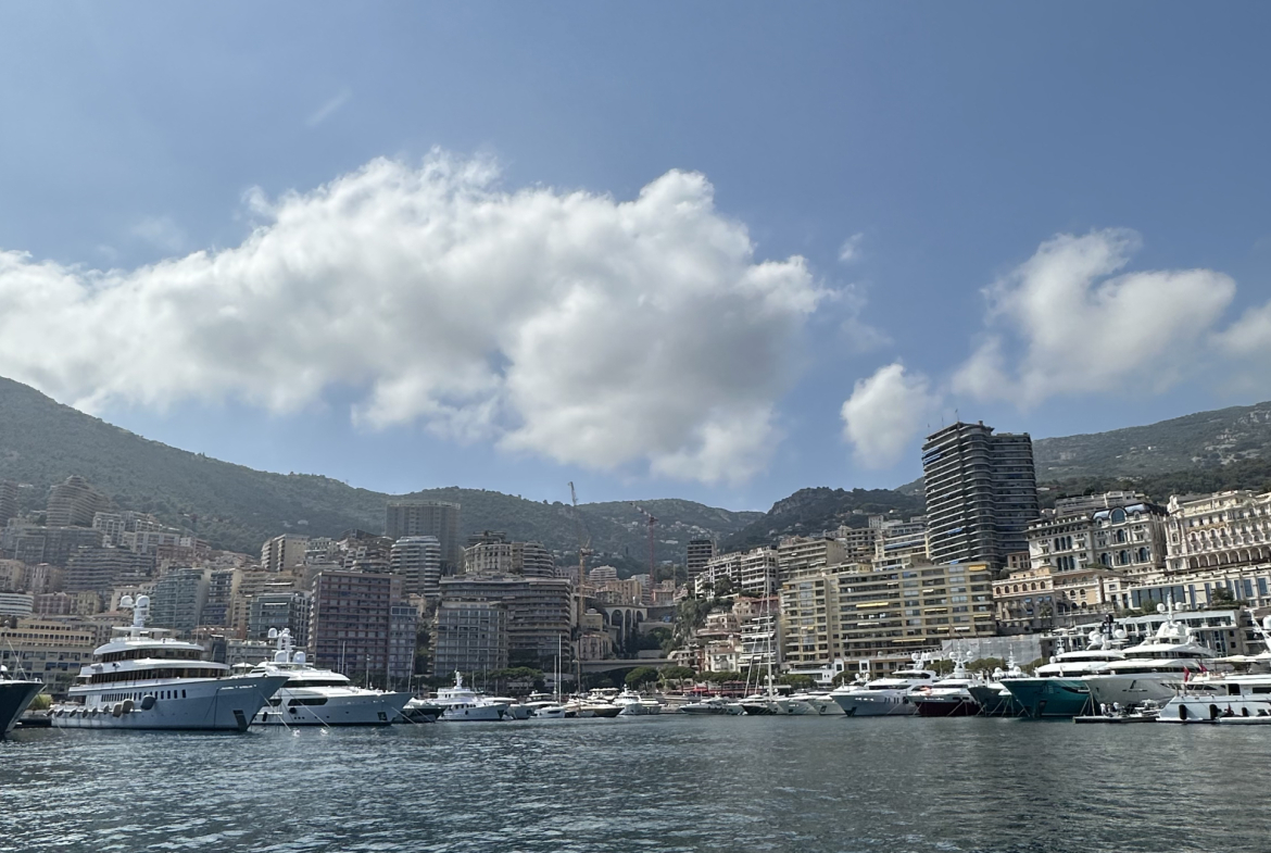 Prestigious address: unique villa with pool and green spaces in Monaco