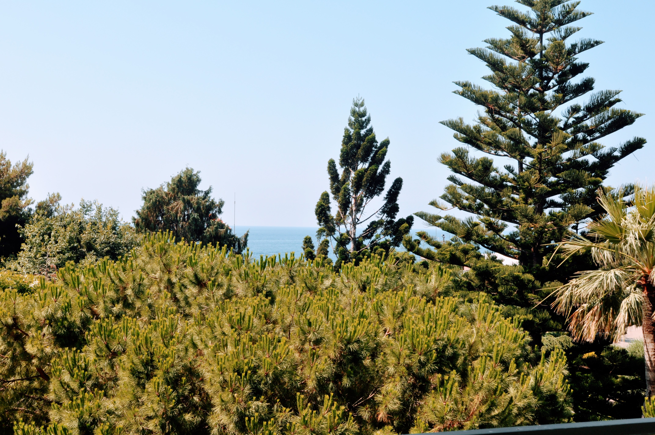 dsc-0009-1751026353 Fontvieille – 3/4 rooms Sublime renovated apartment with panoramic terrace and sea view