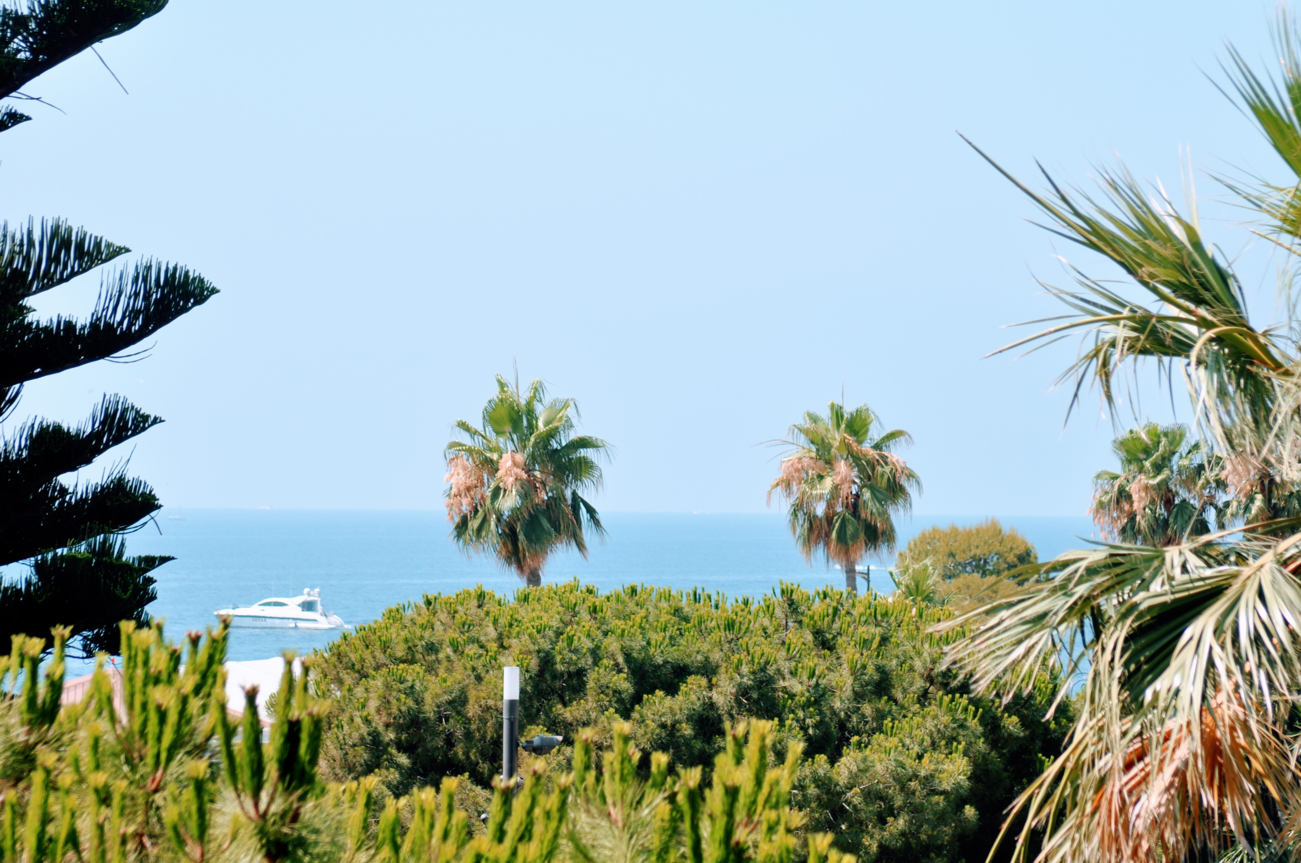 dsc-0027-1751026354 Fontvieille – 3/4 rooms Sublime renovated apartment with panoramic terrace and sea view