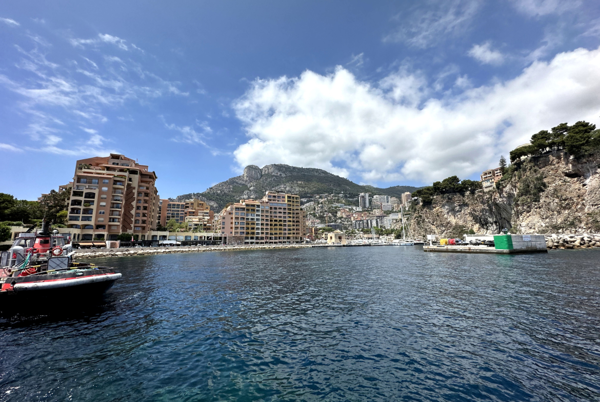 Prestigious address: unique villa with pool and green spaces in Monaco